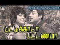 சிவாஜி கலக்கல் நடிப்பில் பட்டிகாடா பட்டணமா திரைப்படம் | Pattikada Pattanama Movie HD | GoldenCinema