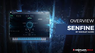 Checking Out Senfine by Wavelet Audio