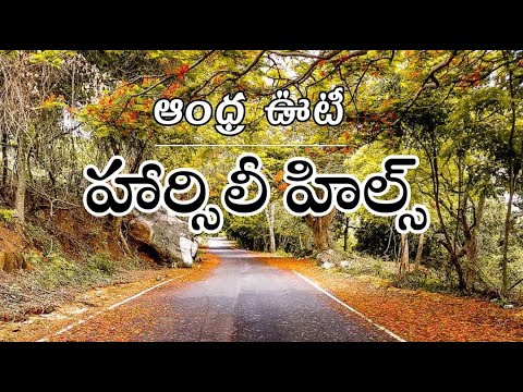 Horsley Hills | Andhra Ooty | Madanapalli | Andhra Pradesh | Ravindra Telugu Traveller |