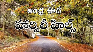Horsley Hills | Andhra Ooty | Madanapalli | Andhra Pradesh | Ravindra Telugu Traveller |