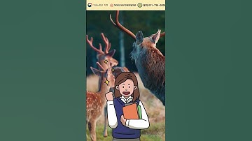 ● #ai교육학원 #ai교육센터 #국비지원ai강의 #ai교육정보 #ai학원추천 #ai교육정보 #ai교육과정 #ai취업학원 #ai무료교육 #ai취업강의