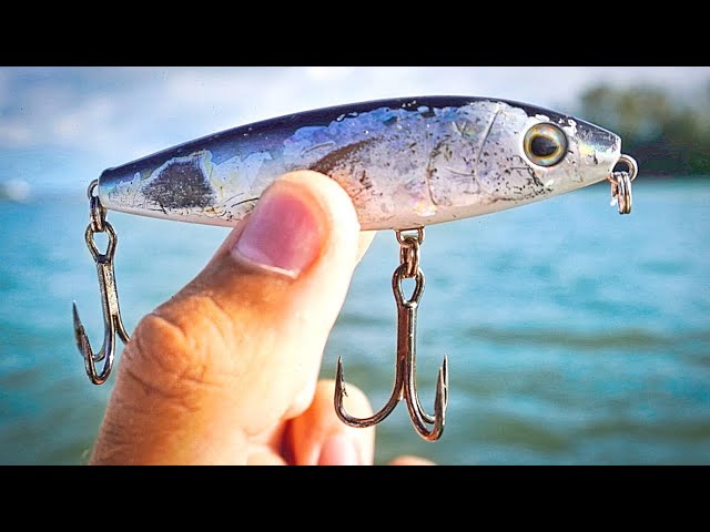 barbed fishing hooks alberta Vision Canada Barbless Beak Hook BL-100T 1/0 / 100 Pack main image 0
