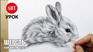 Как рисовать кролика и шерсть животных карандашом.