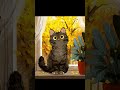 ЧЕМ В ХОЗЯЙСТВЕ КОТ УДОБЕН? Веселая динамичная песенка для детей и взрослых. Вся песня - на канале