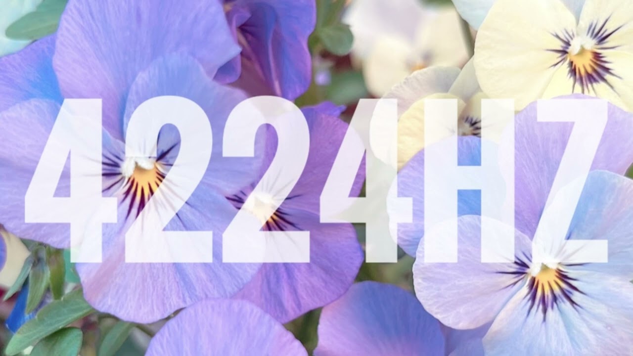 4224hz／Healing Sounds／Tuning fork／Frequency／20min - YouTube