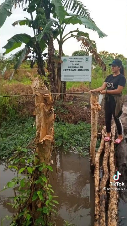 gadis mancing tik tok