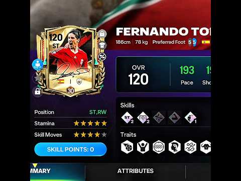 فرناندو توريس 120