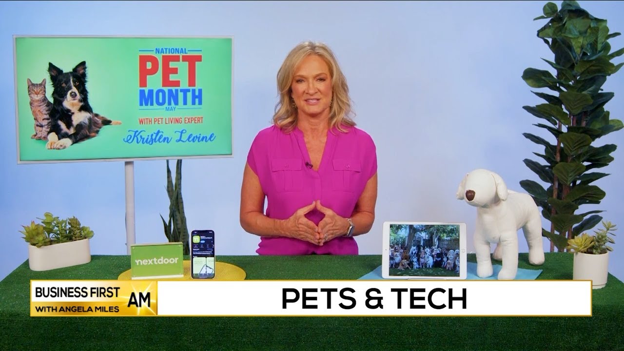 Pets & Tech - Furry Financials