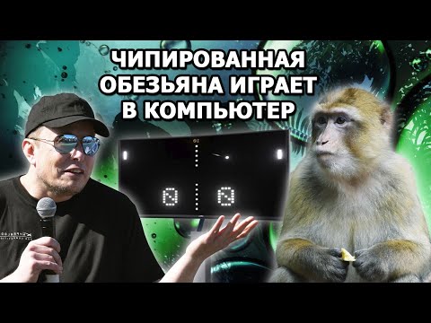 Video: Elon Muski Neuralink Ehitas Animal Test Labi - Alternatiivne Vaade