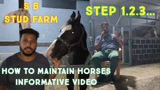 how to buy horse step by step informative video for beginners | ghodo ko palne ka tarika #9595572727