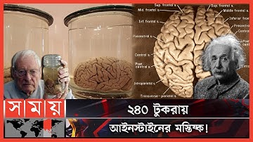 কেন চুরি হয়েছিল আইনস্টাইনের মগজ? | Albert Einstein | Thomas Stoltz Harvey | Einstein Brain |Somoy TV