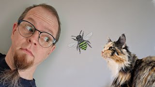 Can your cat outrun a bee and other cat calculations.
