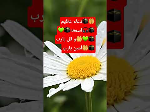 دعاء عظيم اسمعه و قل يارب آمين يارب