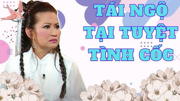 Tái Ngộ Tại Tuyệt Tình Cốc - Hồng Đào, Trang Thanh Lan, Quang Minh - PBN 61