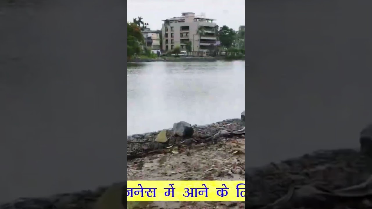 Tezpur Lake, Assam. Write a Combo Pack on WhatsApp 9835633059