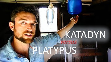 Katadyn VS Platypus - Gravity Water Filters & Speed Test