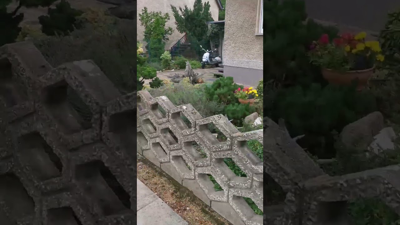 Как выглядит окраина Берлина?