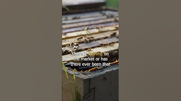 Certified Master Beekeeper John Benham