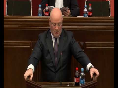 თავდაცვის მინისტრის ანგარიში თავდაცვისა და უშიშროების კომიტეტში