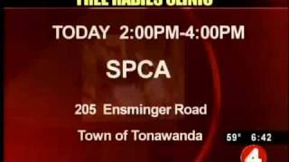 SPCA offers free rabies clinic