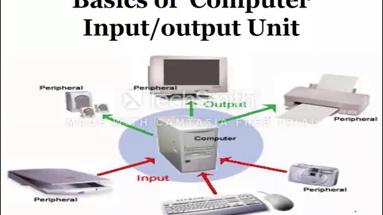 Input Unit. Input and output devices. Basic input/output System как настроить. Как работает инпут. Output units