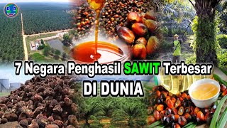 The 7 Largest Palm Oil Producing Countries in the World