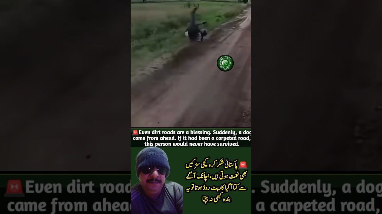 Motorcyclist Falls After Dog Suddenly Crosses Road | Narrow Escape on Muddy Road