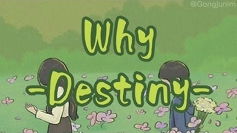 Why - Destiny (Full House Ost//Lirik Terjemah)