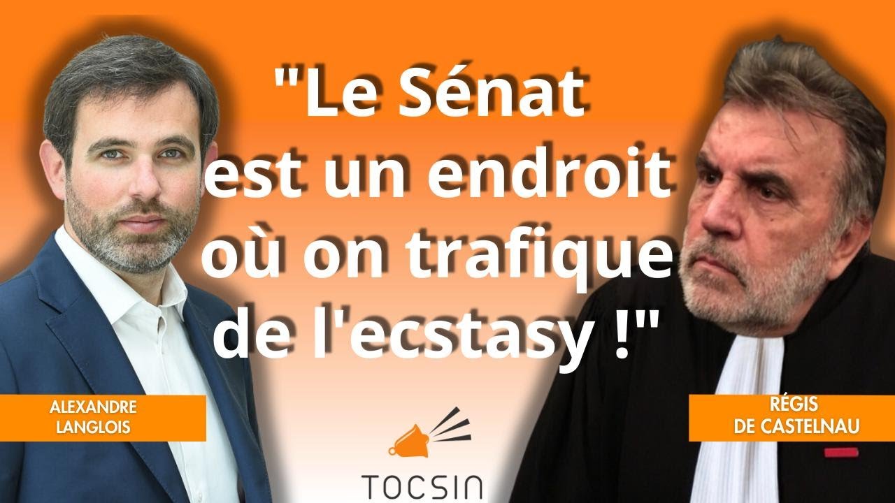 ⁣"Le Sénat est un endroit  où on trafique de l'ecstasy !" - Alexandre Langlois et Régis de Castelnau