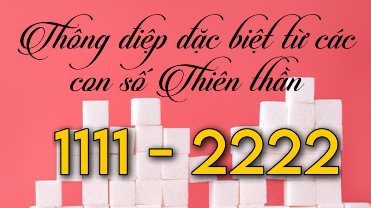 Thông điệp đặc biệt từ các con số Thiên thần 1111 & 2222 thông qua trải bài Tarot & Oracle