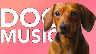 DOG MUSIC: Extra Long 20 Hours of the Best Relaxing Music for Dogs!