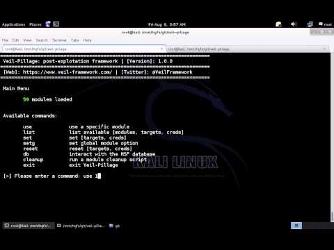 Veil-Pillage - Autograb