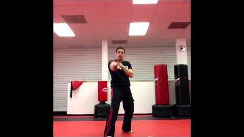 Fang of the Cobra By Matt Federico