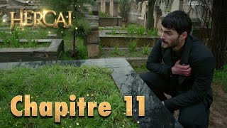 Hercai Chapitre 11