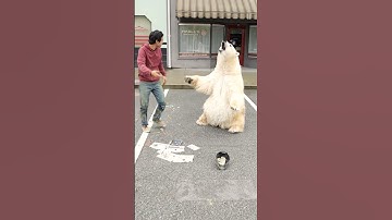 Ice Bear would appreciate some cheese 🧀