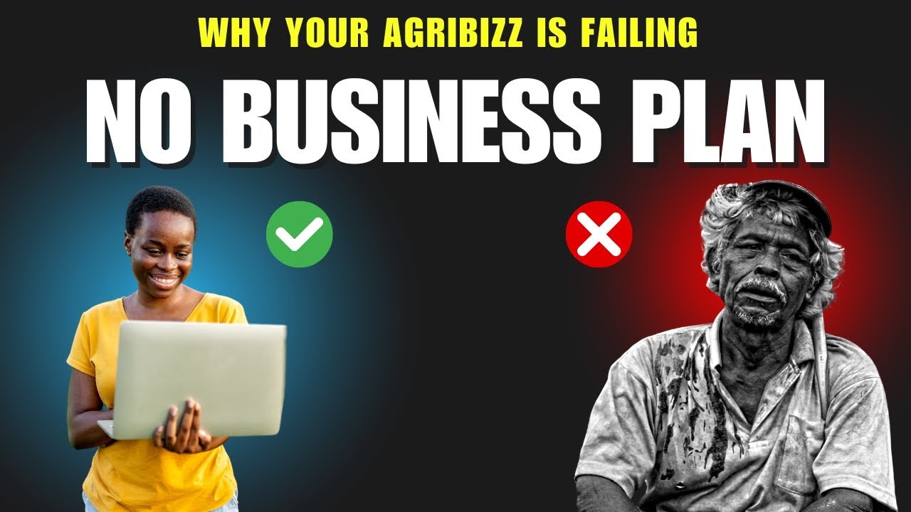 Why your agribusiness is Failing - NO BUSINESS PLAN #farming # ...
