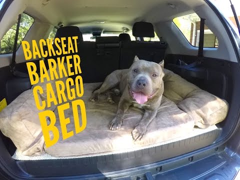 big-barker-backseat-barker-review