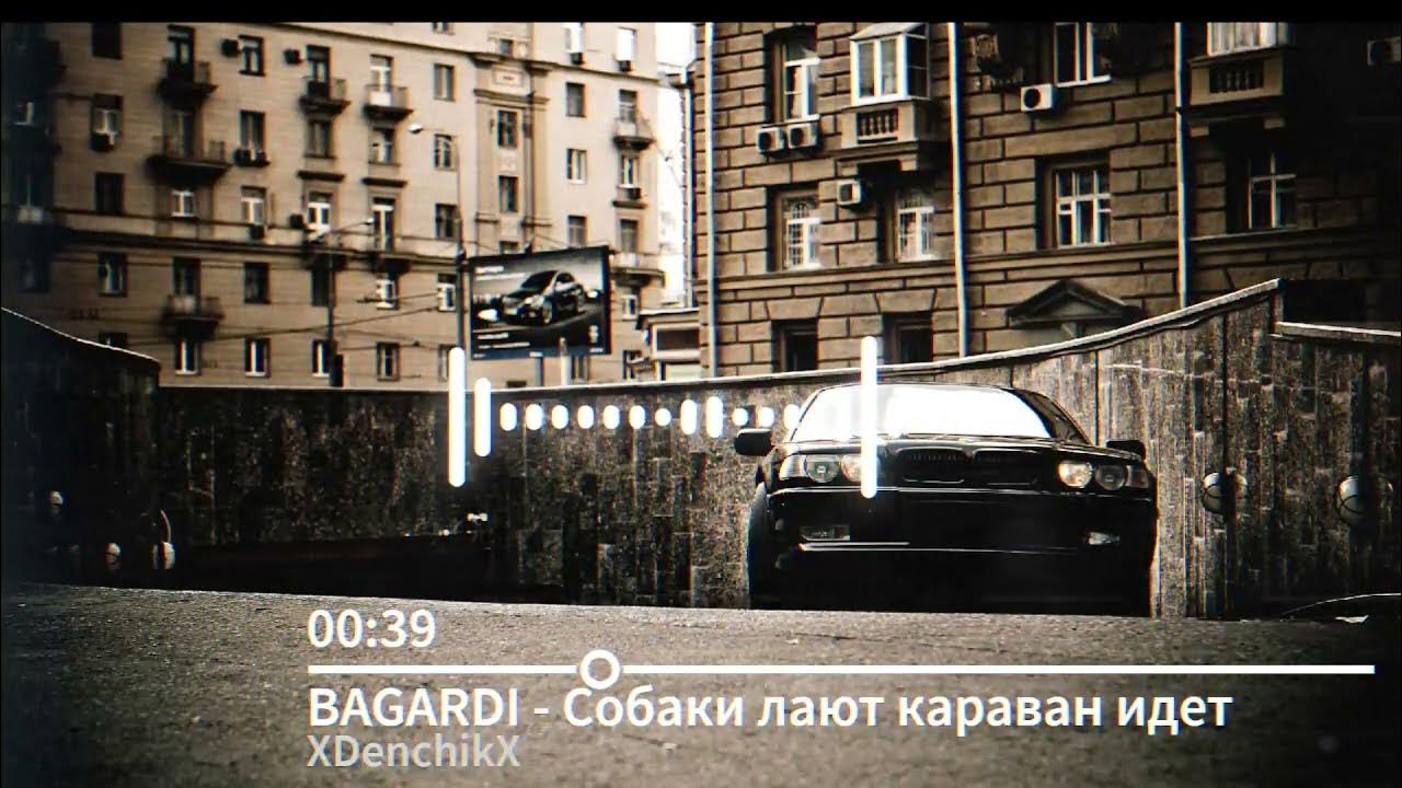 Поговорка собака лает караван идет. Песни собаки лают караван прет. Песни собаки лают караван прет. Караван лакт собаки идкт. Собака лает караван идёт картинки.