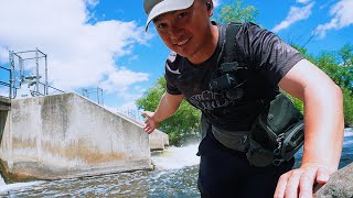 A Day at A Spillway (Use Fish to Catch Fish!)