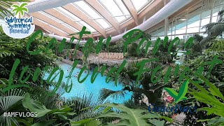 CENTER PARCS IRELAND | SUBTROPICAL SWIMMING PARADISE | LONGFORD FOREST | VLOG #15