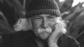 David Crosby - Things We Do for Love