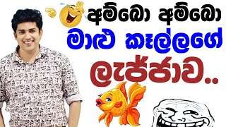 ලැජ්ජාව| Dinesh muthugala sir | dinesh muthugala | biology class | science education