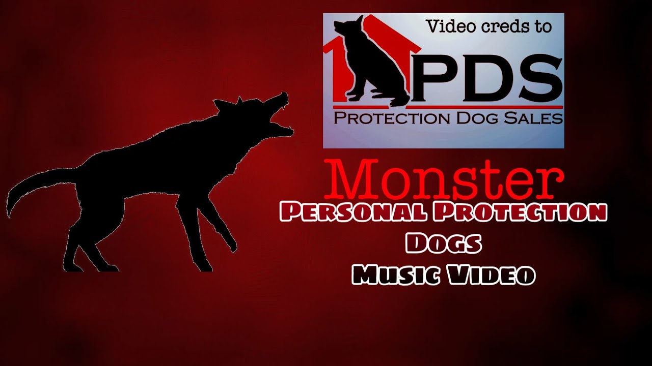 [PPD] Monster|| Personal Protection Dogs|| Music Video|| - YouTube
