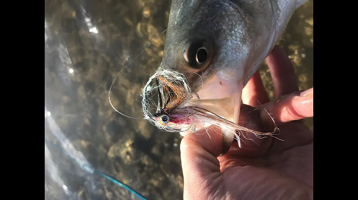 Guitar Minnow - Striper Flies by Greg LaBonte