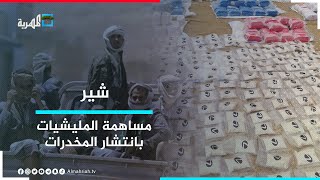 كيف ساهمت المليشيات في انتشار تجارة المخدرات في اليمن؟ | شير