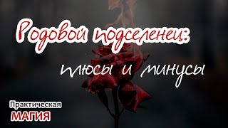 видео: Родовой подселенец: плюсы и минусы картинка: Родовой подселенец: плюсы и минусы