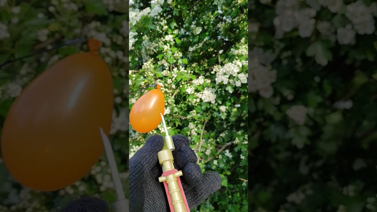 Match Gun Pop the Orange balloon? 