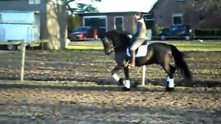 SDC10126.AVI