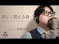 美しく燃える森 / 東京スカパラダイスオーケストラ