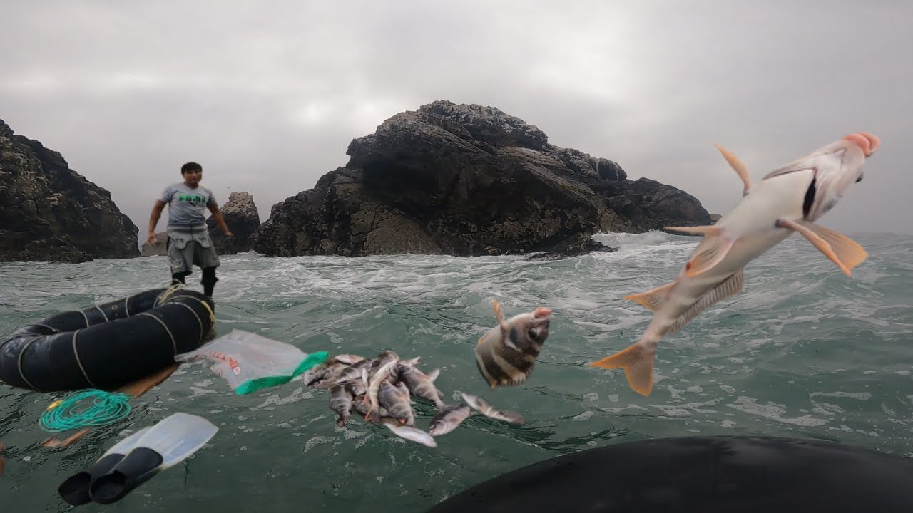 Pesca en la Playa el Colorado
